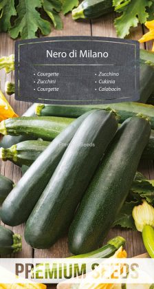 Courgette - Nero di Milano - semences