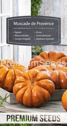 Calabaza moscada - Muscade de Provence - semillas