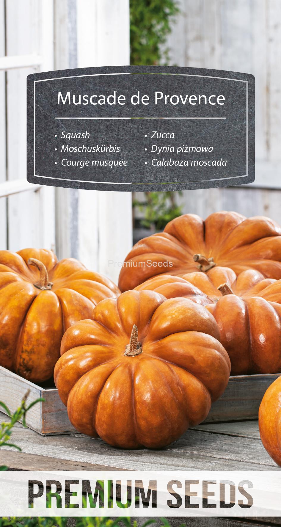 WORLD 14331764PA.indd Squash - Muscade de Provence - seeds
