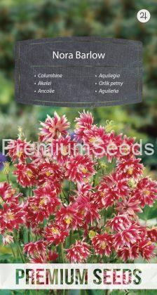 Columbine Nora Barlow - seeds
