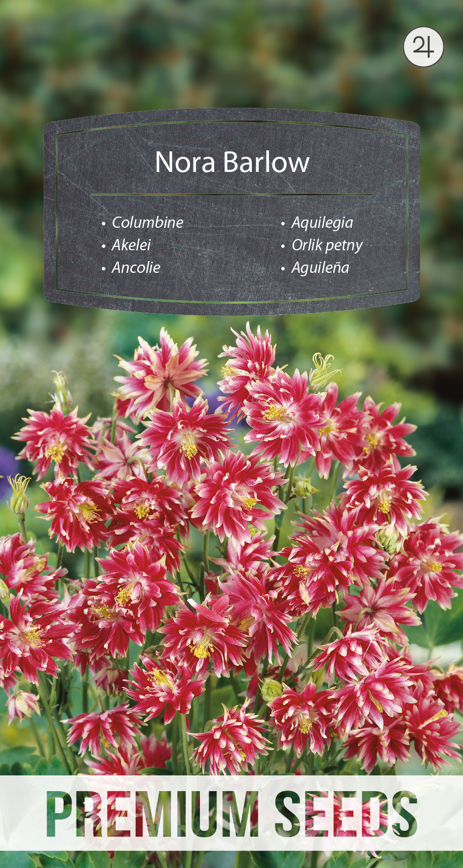 WORLD N 090 7199.indd Columbine Nora Barlow - seeds