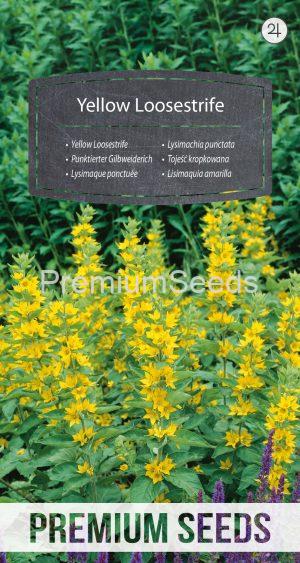 Yellow Loosestrife - seeds