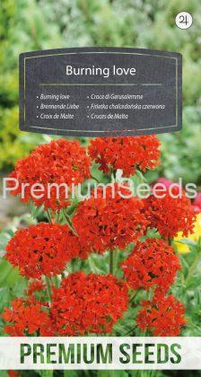 Burning love - seeds