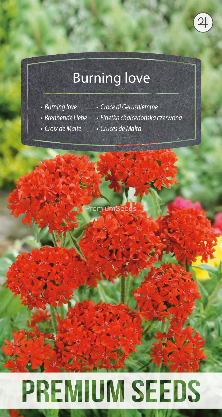 WORLD N 090 7639.indd Burning love - seeds