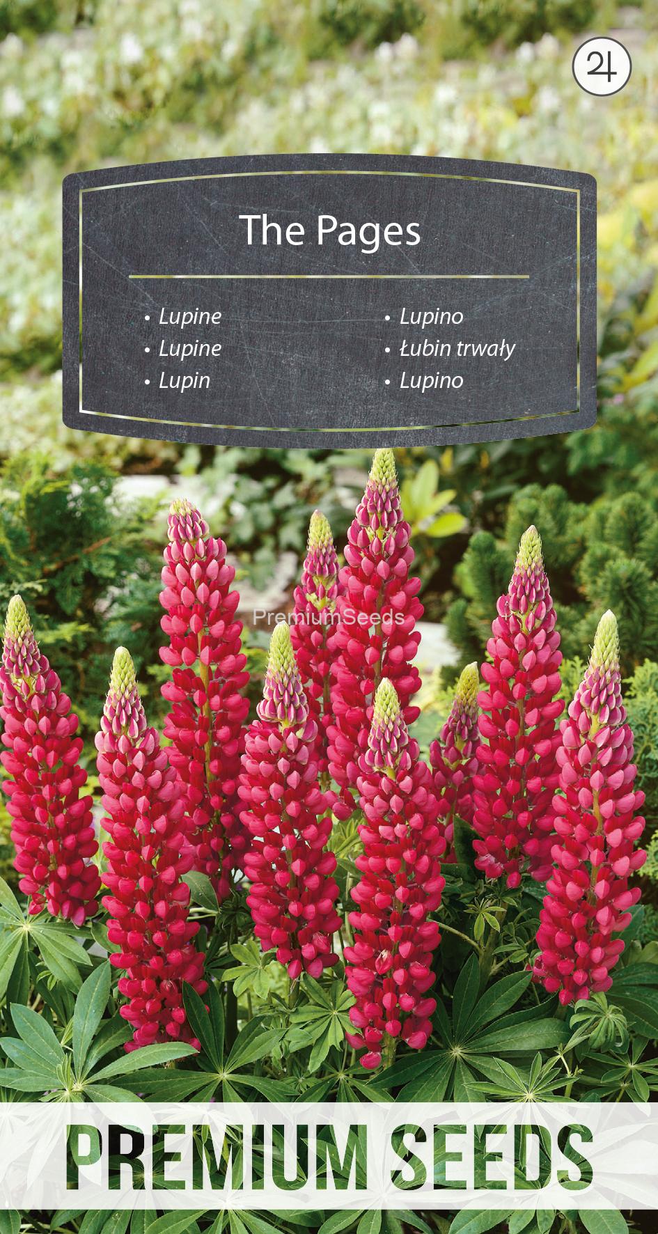 WORLD N 093 4226.indd Lupine The Pages - Samen