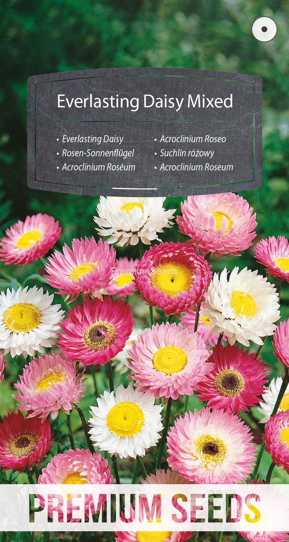 WORLD N 150 0215.indd Everlasting Daisy Mixed - seeds