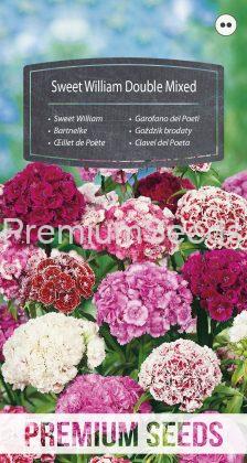 Sweet William Double Mixed - seeds