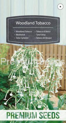 Woodland Tobacco - seeds