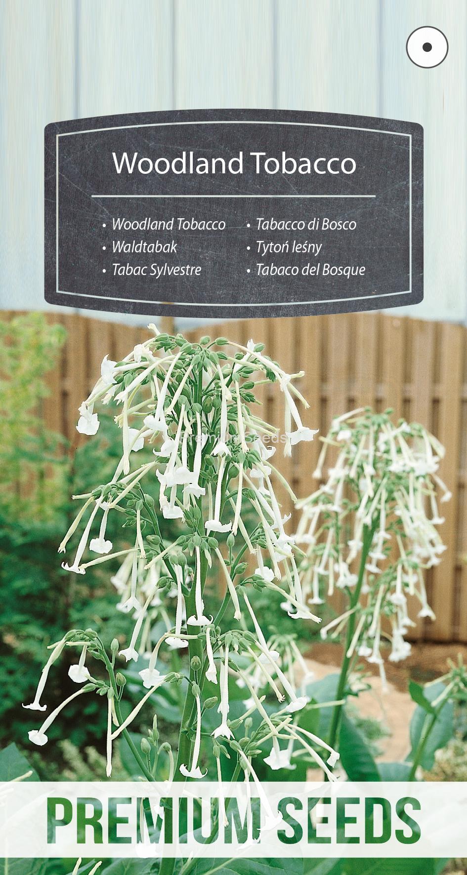 WORLD N 150 6159.indd Woodland Tobacco - seeds