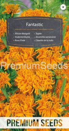 African Marigold Fantastic - Orange - seeds
