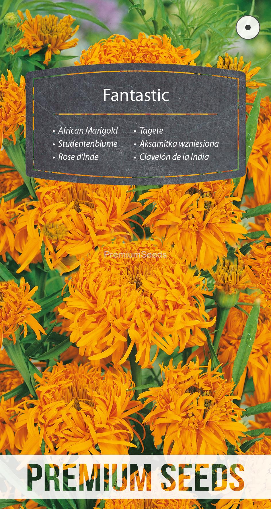 WORLD N 150 7899.indd African Marigold Fantastic - Orange - seeds