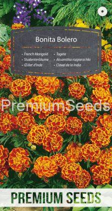 French Marigold Bonita Bolero - seeds