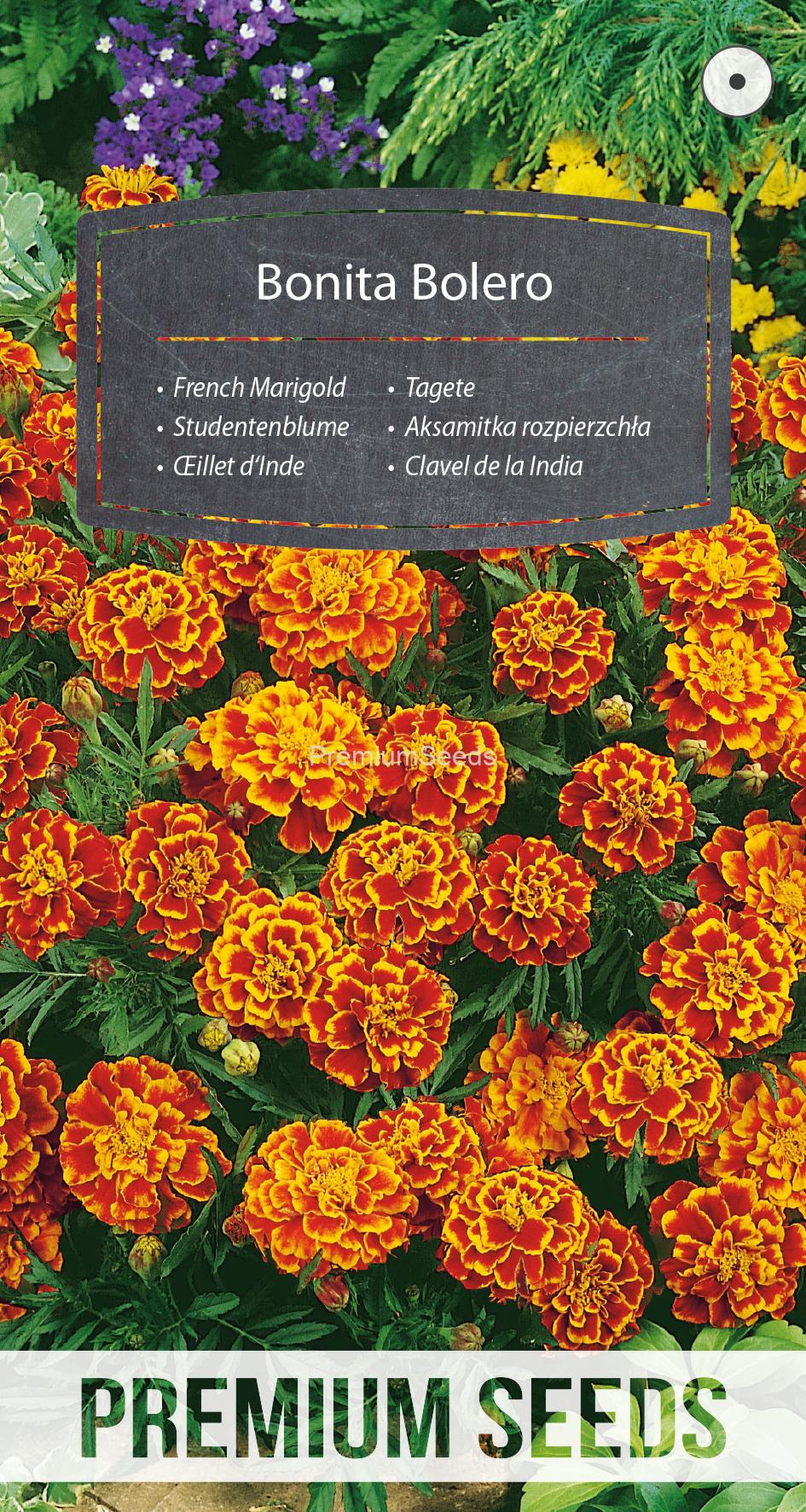 WORLD N 150 7902.indd French Marigold Bonita Bolero - seeds