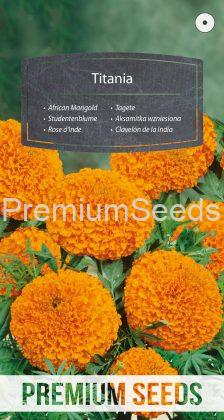 African Marigold Titania - seeds