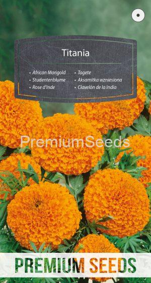 African Marigold Titania - seeds