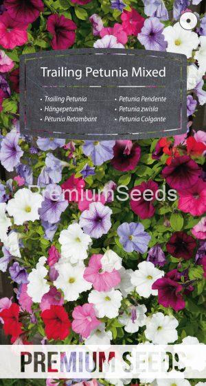 Trailing Petunia Mixed - seeds