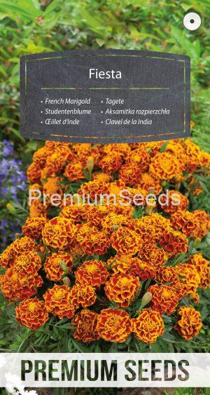 French Marigold Fiesta - seeds