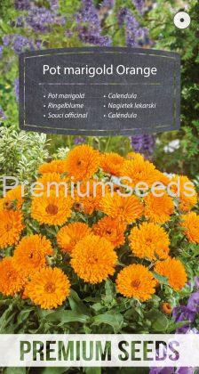 Pot marigold - Orange - seeds