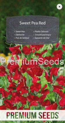 Sweet Pea Red - seeds