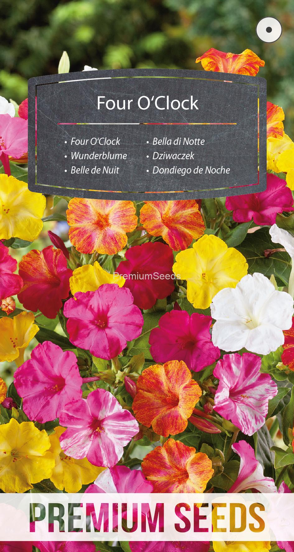 WORLD N 152 3302.indd Four O'Clock - seeds