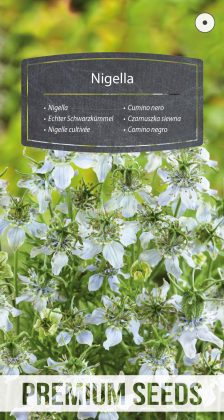 Nigelle cultivée - semences