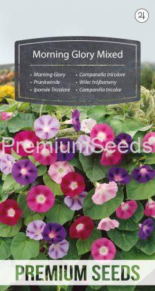 Morning Glory Mixed - seeds