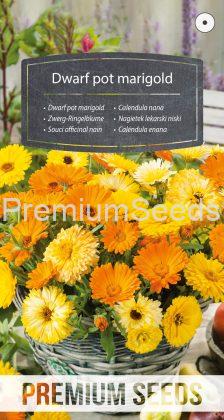 Dwarf pot marigold - seeds