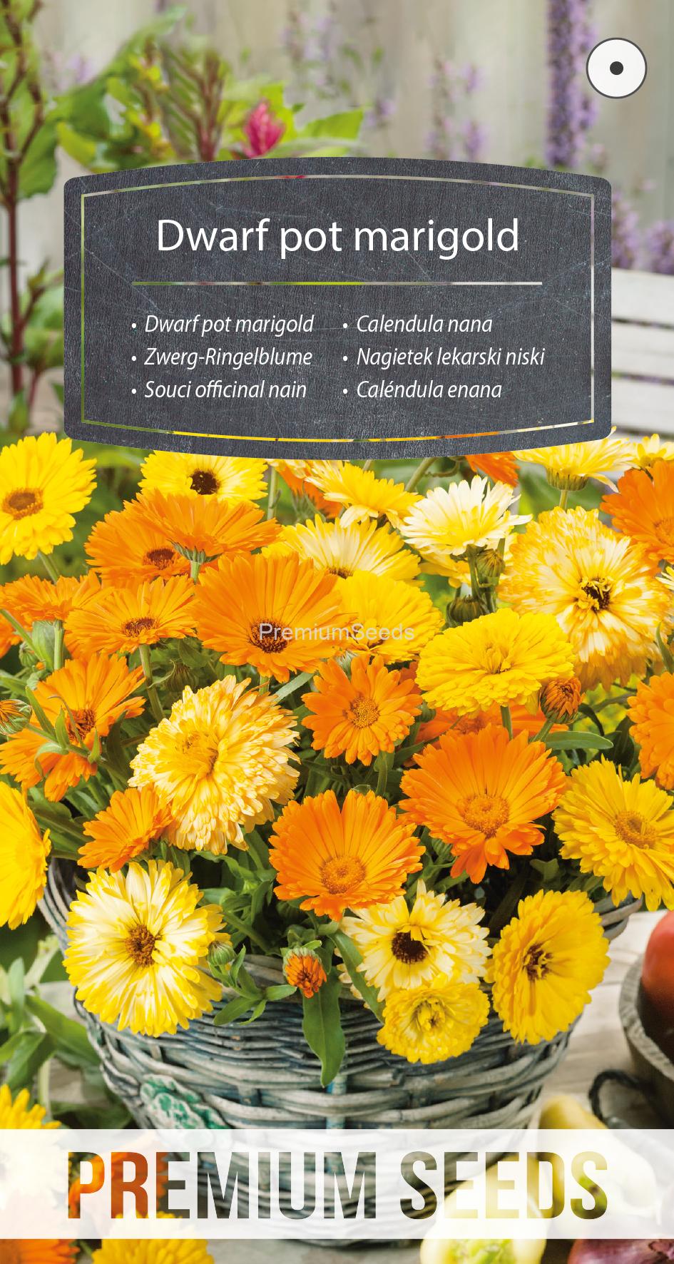 WORLD N 152 5800.indd Dwarf pot marigold - seeds