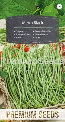 Cowpea Metro Black - seeds