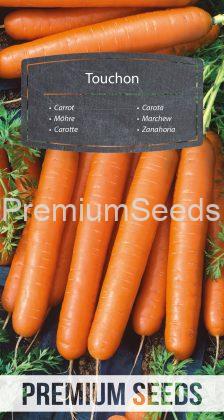 Zanahoria - Touchon - semillas