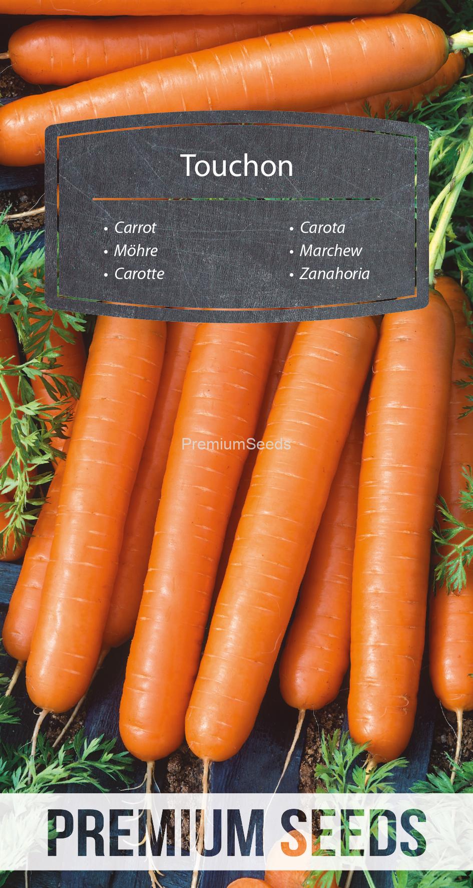 WORLD N 170 0310.indd Carrot - Touchon - seeds