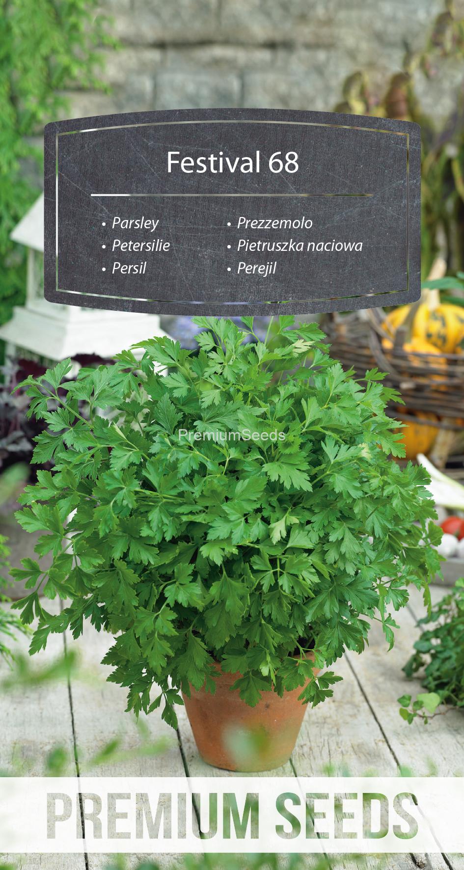 WORLD N 170 3865.indd Parsley Festival 68 - seeds