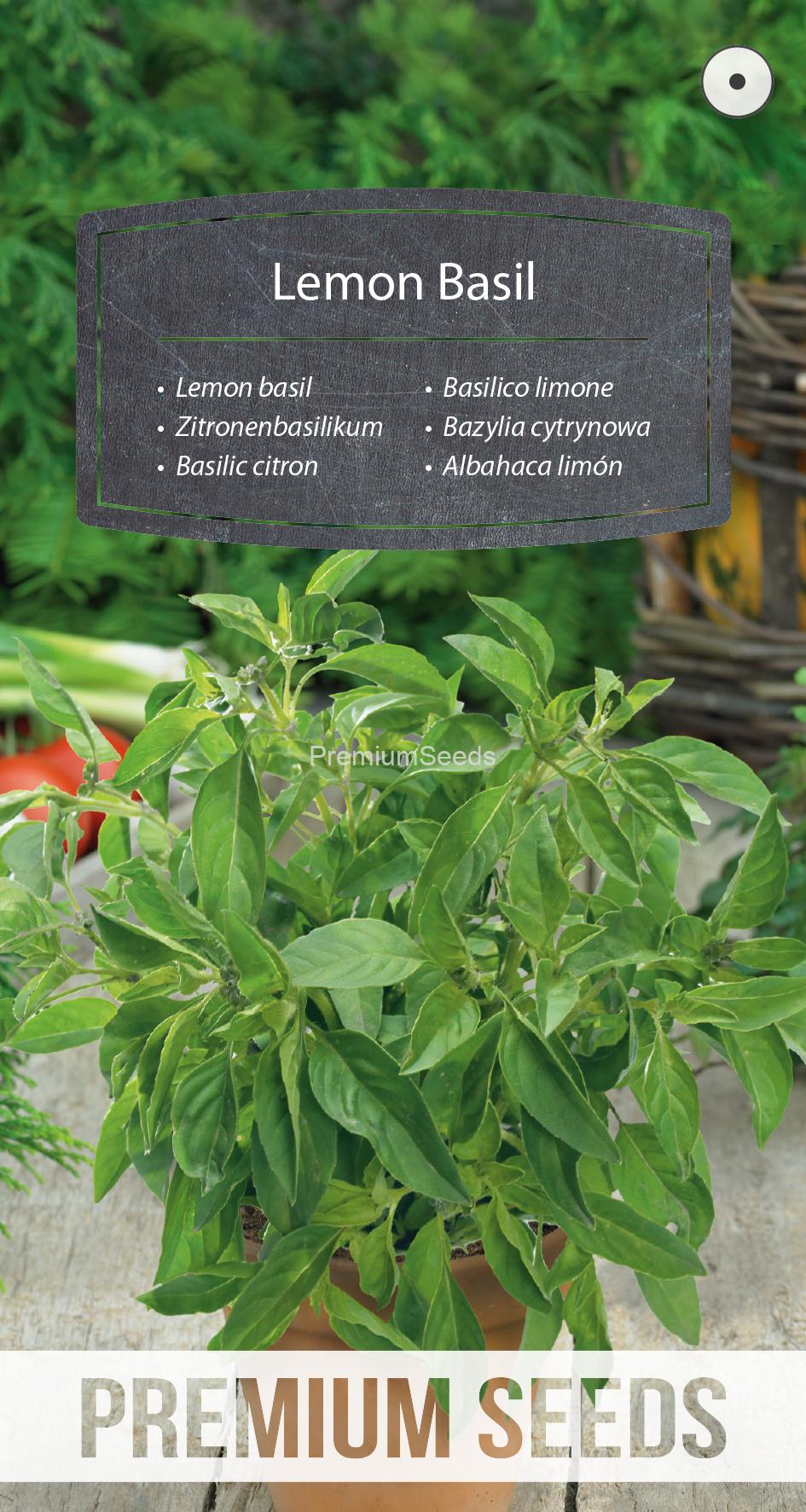 WORLD N 170 3876.indd Lemon basil - seed