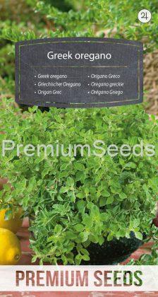 Greek oregano - seeds