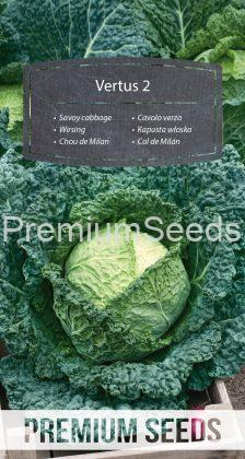 Savoy cabbage - Vertus 2 - seeds