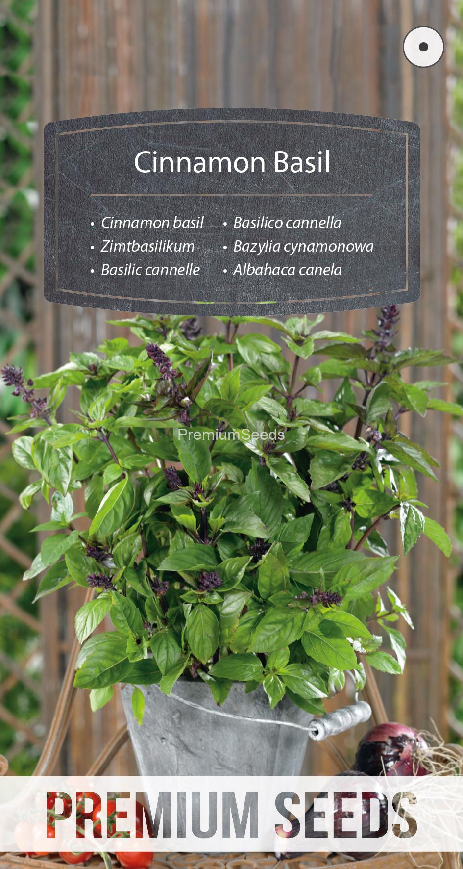 WORLD N 170 4518.indd Cinnamon basil - seeds