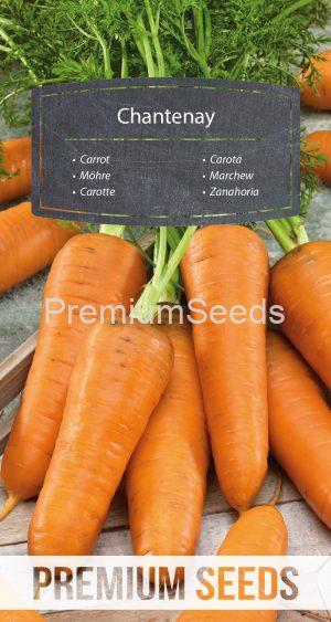 Zanahoria - Chantenay - semillas
