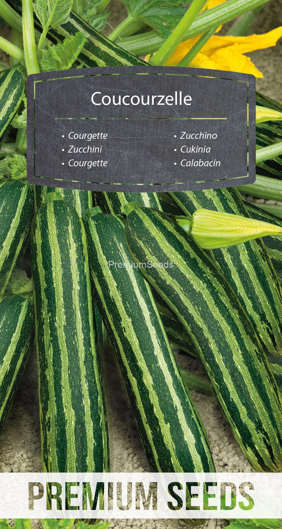 WORLD N 171 5809.indd Zucchini - Coucourzelle - Samen
