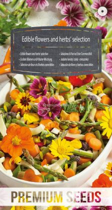 Sélection de fleurs et d'herbes comestibles - semences