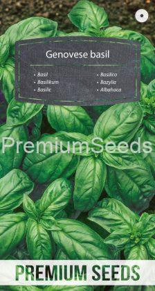 Genovese basil - seeds