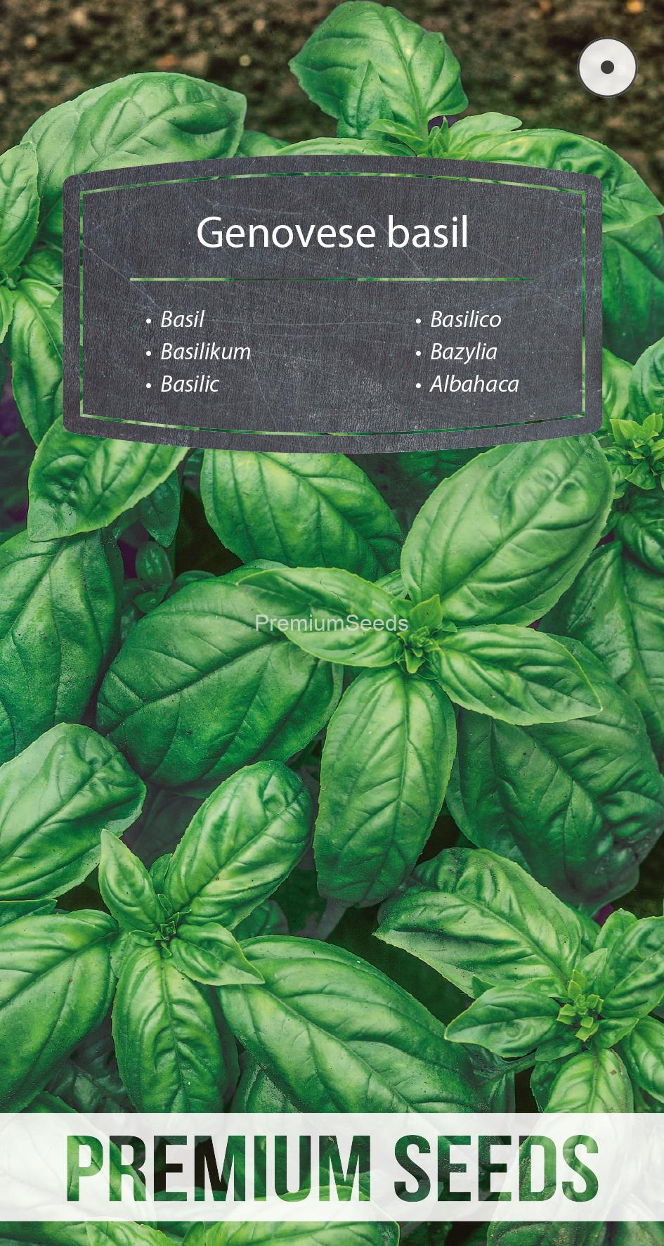 WORLD N 71 51 53.indd Albahaca Genovesaa - semillas