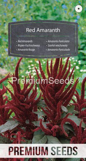 Red Amaranth - seeds
