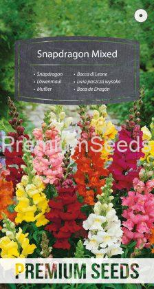 Snapdragon Mixed - seeds