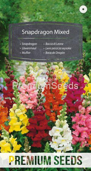Snapdragon Mixed - seeds