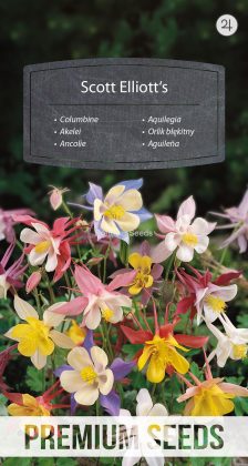 Akelei Scott Elliott's Mischung - Samen