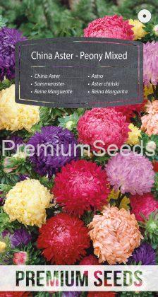 China Aster - Peony Mixed - seeds