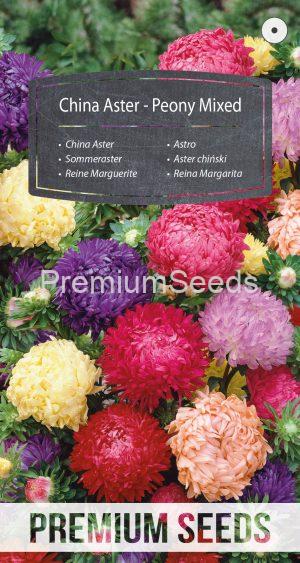 China Aster - Peony Mixed - seeds