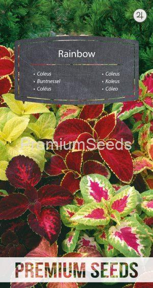 Coleus Rainbow- seeds