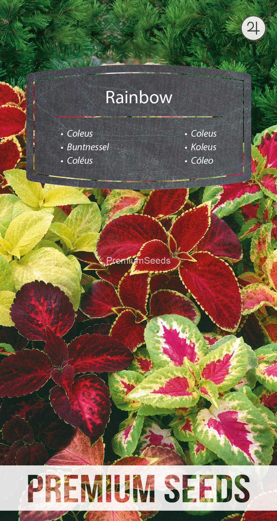 WORLD N 90 76 02.indd Coleus Rainbow- seeds