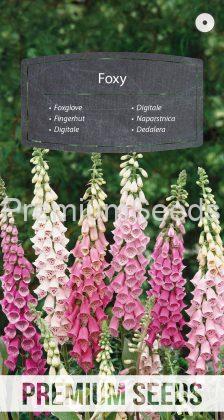 Foxglove Foxy Mixed - seeds